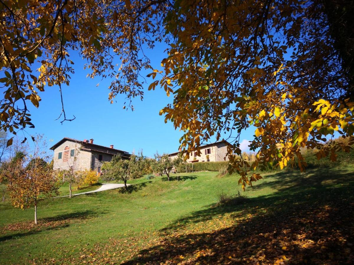 Agriturismo Braccicorti Pieve Fosciana Exterior foto
