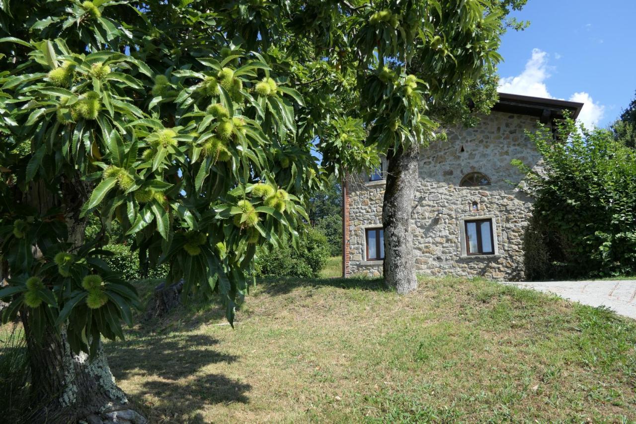Agriturismo Braccicorti Pieve Fosciana Exterior foto