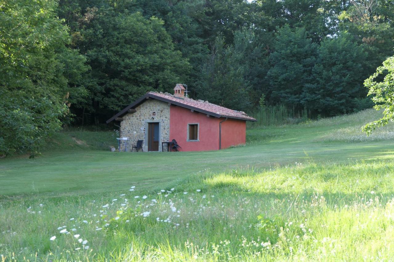 Agriturismo Braccicorti Pieve Fosciana Exterior foto