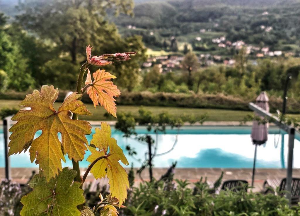 Agriturismo Braccicorti Pieve Fosciana Exterior foto