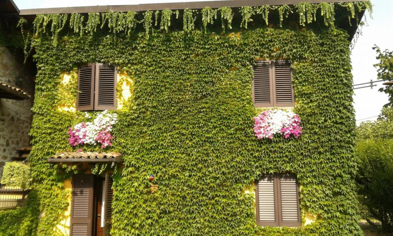Agriturismo Braccicorti Pieve Fosciana Exterior foto